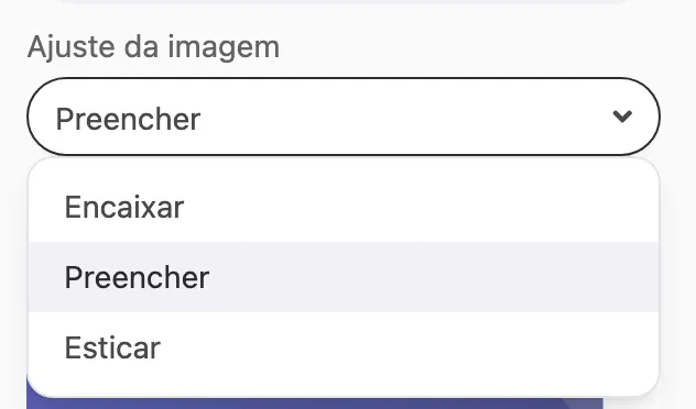 O menu Ajuste da imagem aberto com as opções Encaixar, Preencher e Esticar, com Preencher selecionado