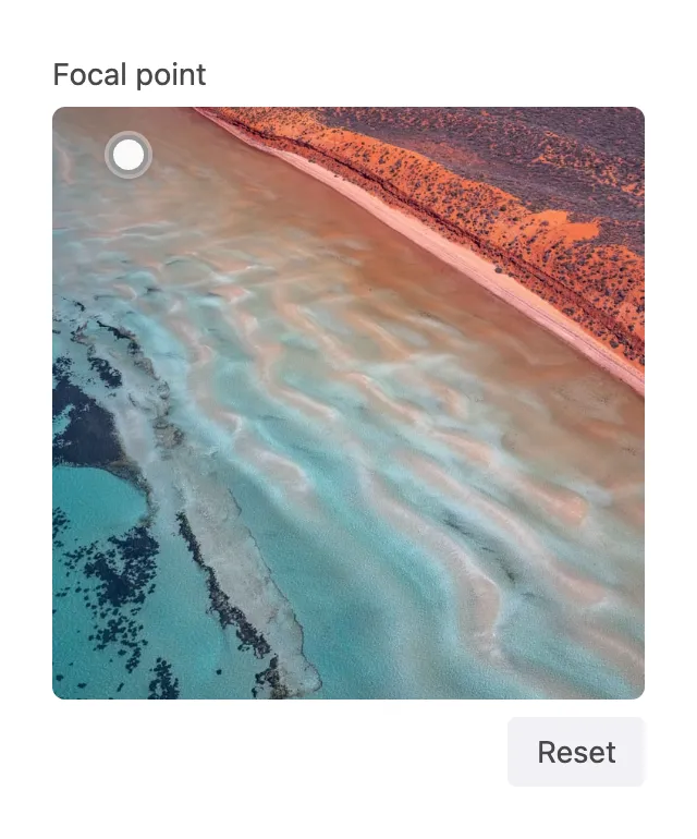 Focal point picker with the dot positioned off-center and Reset button visible